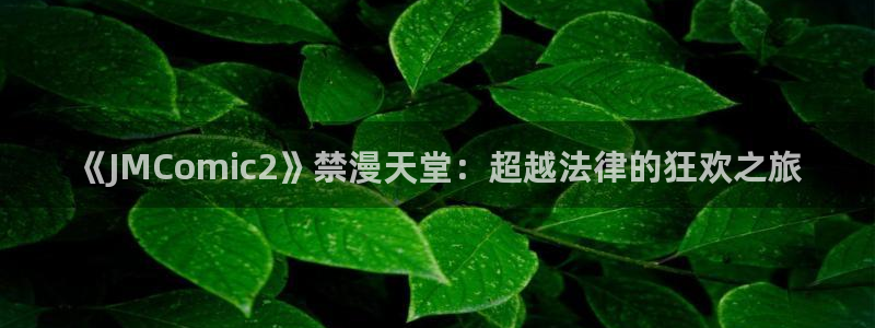 奇漫屋官网樱花动漫：《JMComic2》禁漫天堂：超越法律的狂欢之旅
