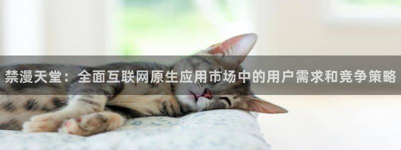 volcanicage漫画：禁漫天堂：全面互联网原生应用市场中的用户需求和竞争策略