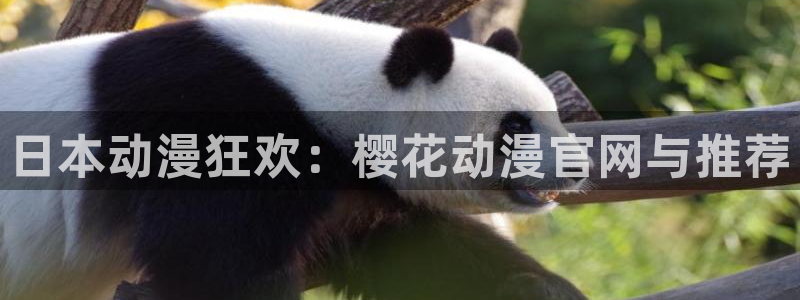 奇漫屋官网樱花动漫：日本动漫狂欢：樱花动漫官网与推荐