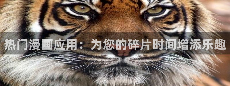奇漫屋下载入口：热门漫画应用：为您的碎片时间增添乐趣