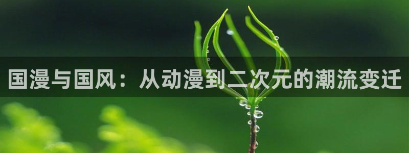 奇漫屋网下载：国漫与国风：从动漫到二次元的潮流变迁
