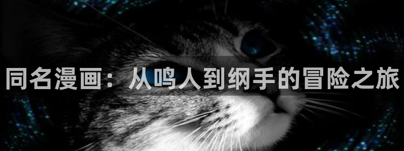 奇漫屋下载动漫全免费：同名漫画：从鸣人到纲手的冒险之旅