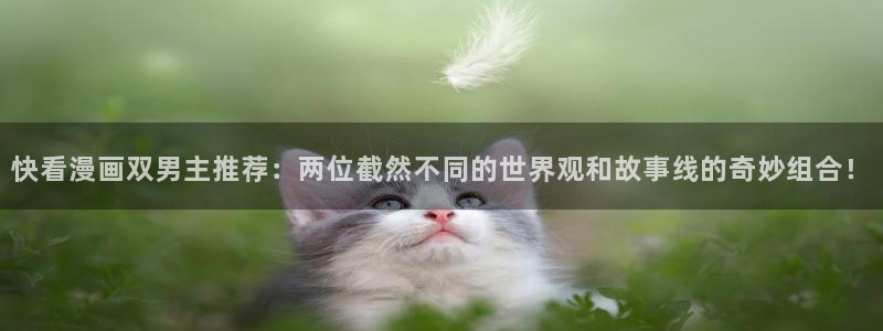 age漫画网：快看漫画双男主推荐：两位截然不同的世界观和故事线的奇妙组合！