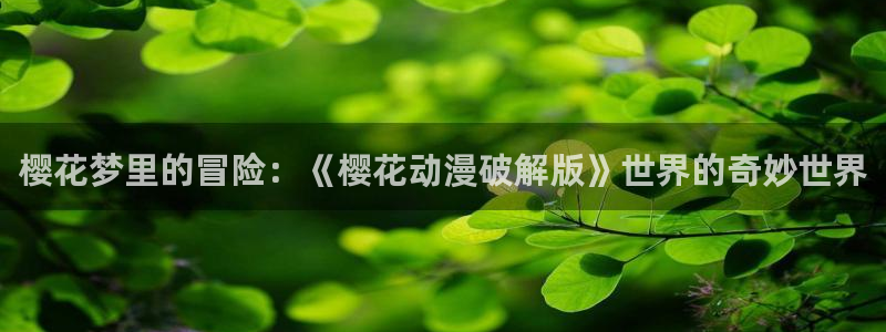 age专注动漫的门户网站：樱花梦里的冒险：《樱花动漫破解版》世界的奇妙世界