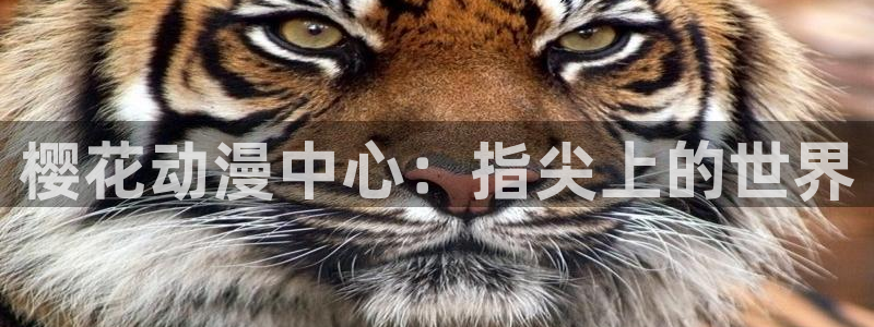 奇漫屋樱花：樱花动漫中心：指尖上的世界