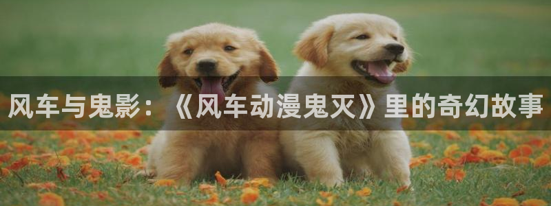 拷贝漫画 copymanager.ory网站：风车与鬼影：《风车动漫鬼灭》里的奇幻故事