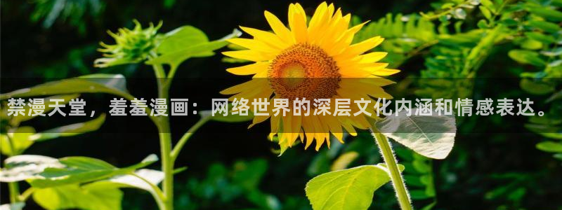 kakaopage韩漫官网：禁漫天堂，羞羞漫画：网络世界的深层文化内涵和情感表达。