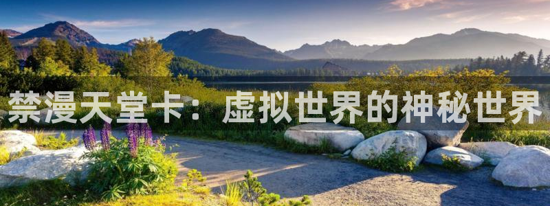 奇漫屋下载入口：禁漫天堂卡：虚拟世界的神秘世界