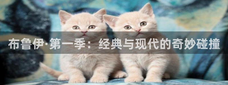 colamanage漫画官网：布鲁伊·第一季：经典与现代的奇妙碰撞