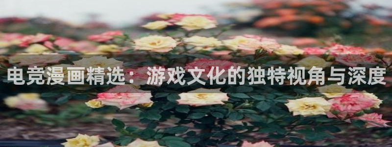 下载奇漫屋：电竞漫画精选：游戏文化的独特视角与深度