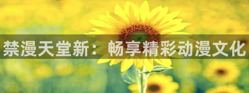 kakaopage韩漫官网：禁漫天堂新：畅享精彩动漫文化