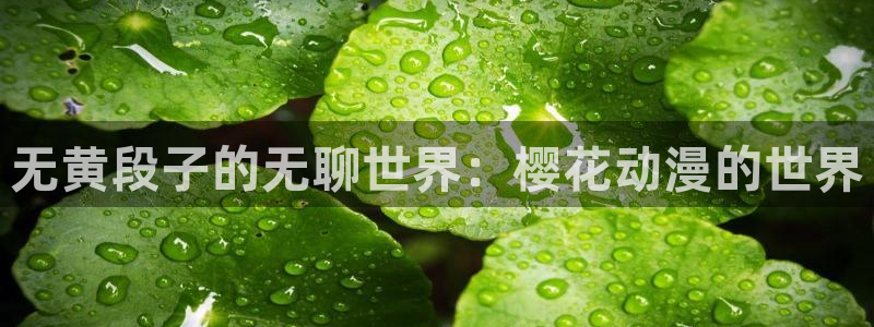 奇漫屋樱花：无黄段子的无聊世界：樱花动漫的世界