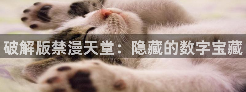 奇漫屋：破解版禁漫天堂：隐藏的数字宝藏