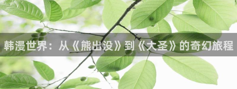 奇漫屋omofun：韩漫世界：从《熊出没》到《大圣》的奇幻旅程