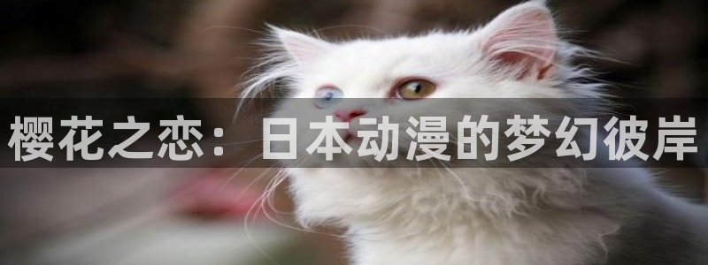 奇漫屋专注动漫的门户网站：樱花之恋：日本动漫的梦幻彼岸