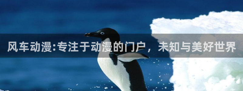 managereader漫画官网入口：风车动漫:专注于动漫的门户，未知与美好世界